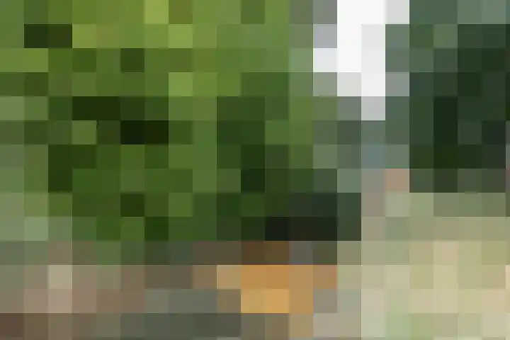 Snip 137 Groningen thumbnail 76