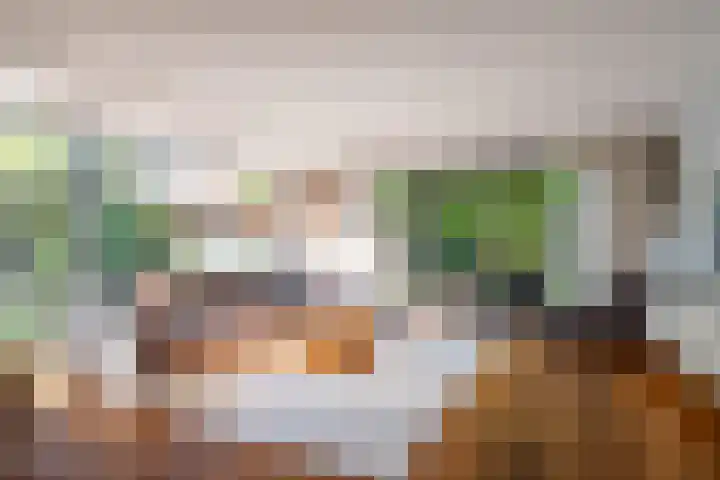 Snip 143 Groningen thumbnail 15