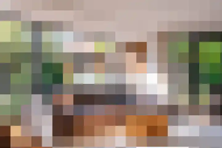 Snip 143 Groningen thumbnail 16