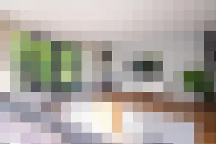 Snip 143 Groningen thumbnail 17