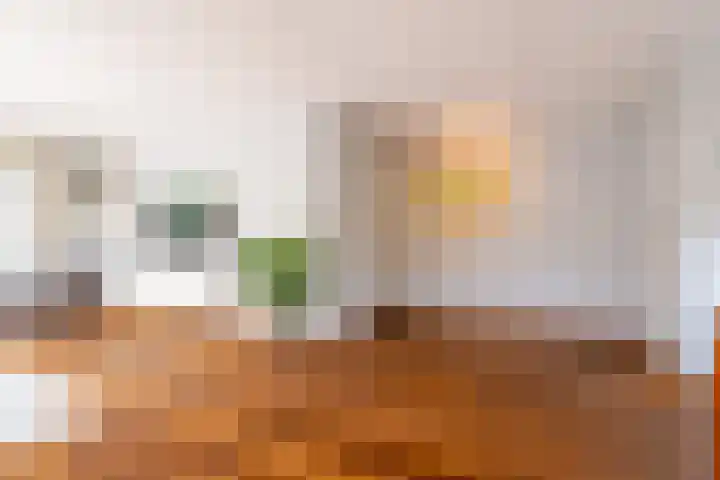 Snip 143 Groningen thumbnail 24