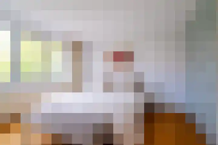 Snip 143 Groningen thumbnail 37