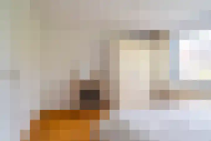 Snip 143 Groningen thumbnail 38