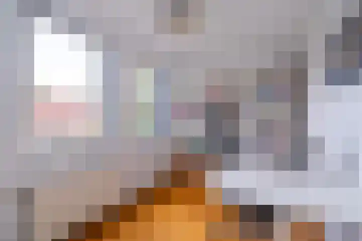 Snip 143 Groningen thumbnail 39