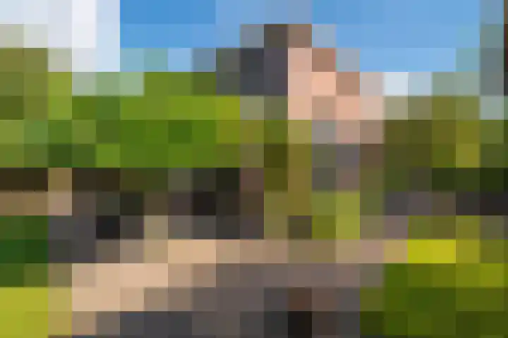 Snip 143 Groningen thumbnail 4