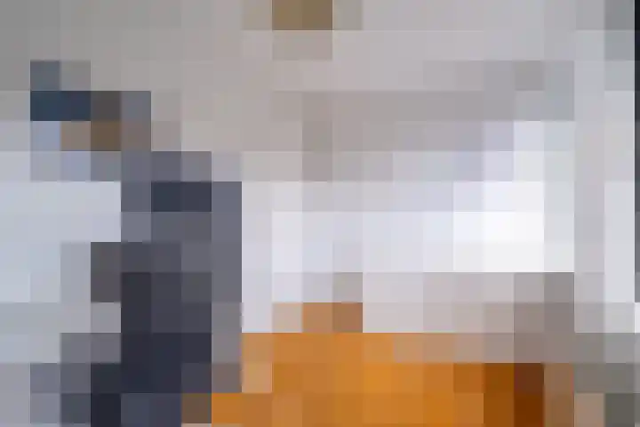 Snip 143 Groningen thumbnail 40