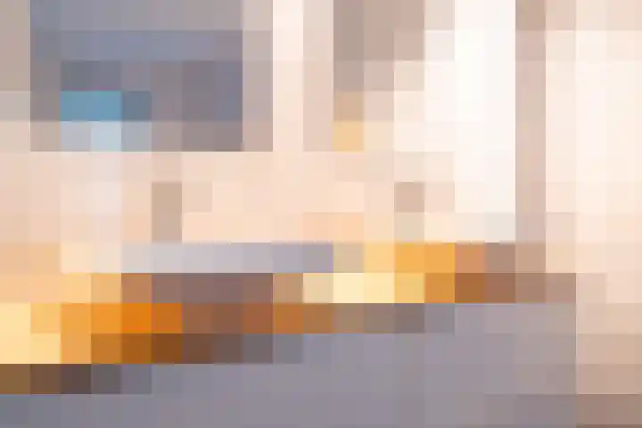 Snip 143 Groningen thumbnail 48