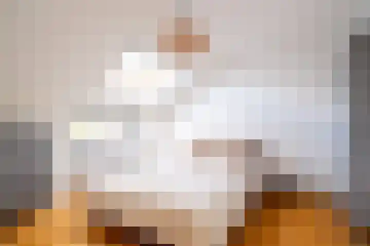 Snip 143 Groningen thumbnail 52