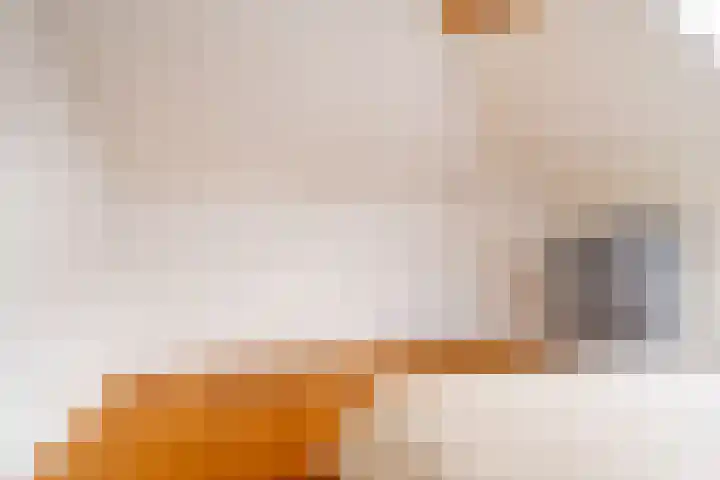 Snip 143 Groningen thumbnail 54