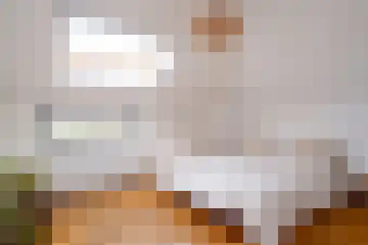 Snip 143 Groningen thumbnail 55