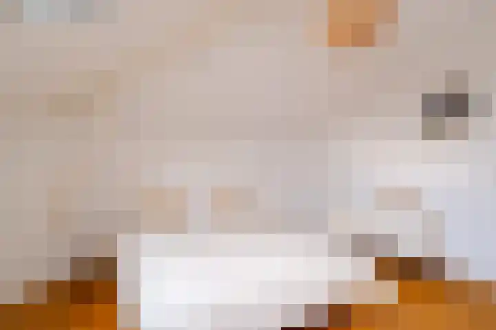 Snip 143 Groningen thumbnail 56