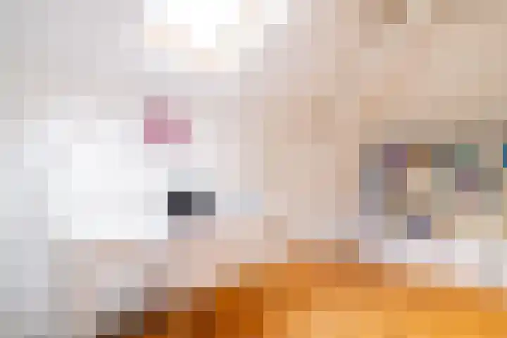 Snip 143 Groningen thumbnail 58