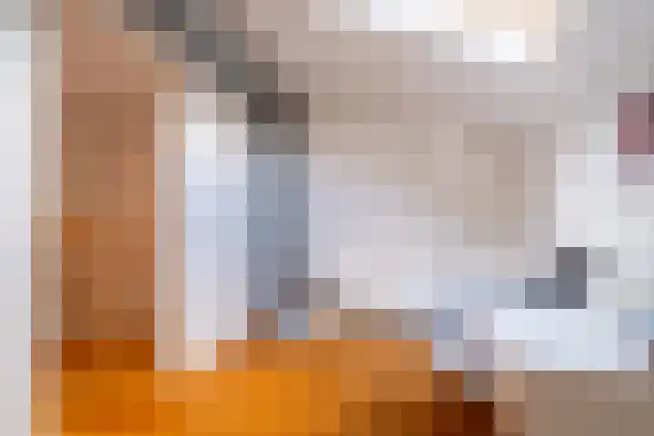 Snip 143 Groningen thumbnail 59