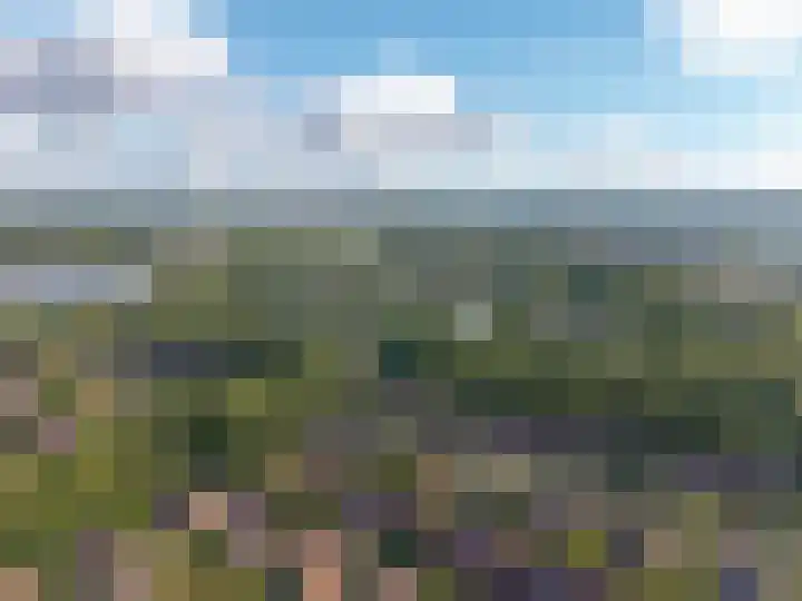 Snip 143 Groningen thumbnail 6