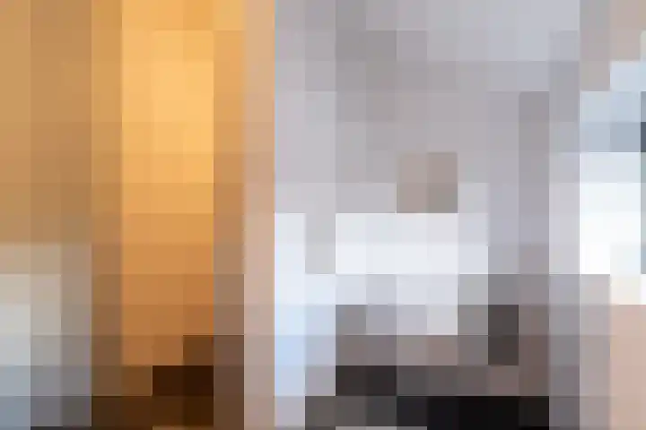 Snip 143 Groningen thumbnail 60