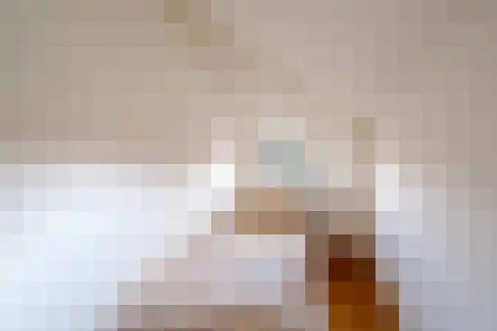 Snip 143 Groningen thumbnail 62