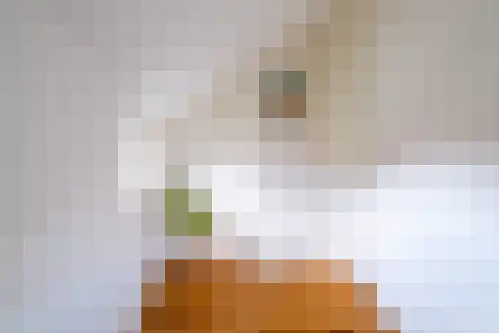 Snip 143 Groningen thumbnail 63
