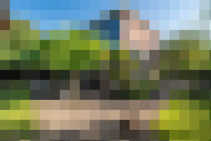 Snip 143 Groningen thumbnail 64