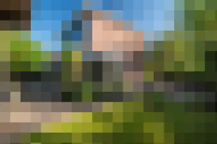 Snip 143 Groningen thumbnail 65