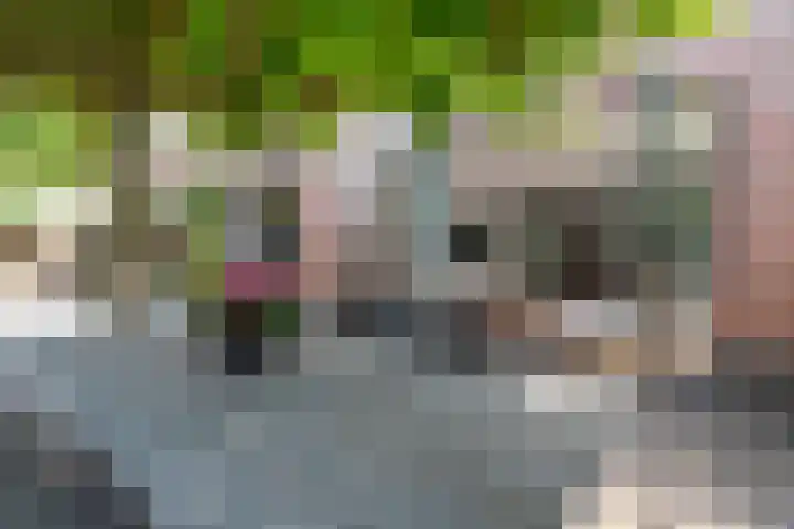 Snip 143 Groningen thumbnail 66
