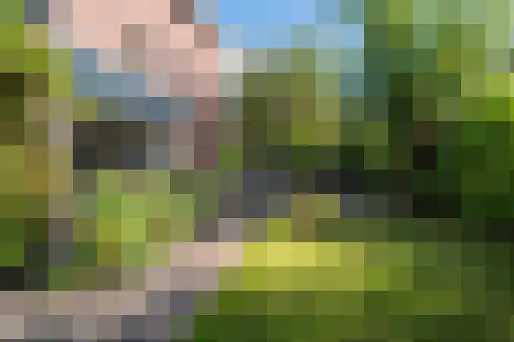 Snip 143 Groningen thumbnail 67
