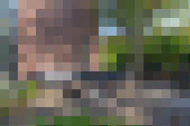 Snip 143 Groningen thumbnail 68