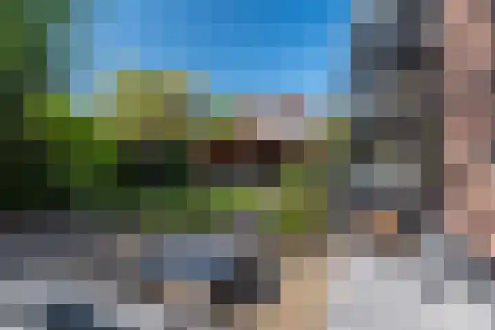 Snip 143 Groningen thumbnail 70