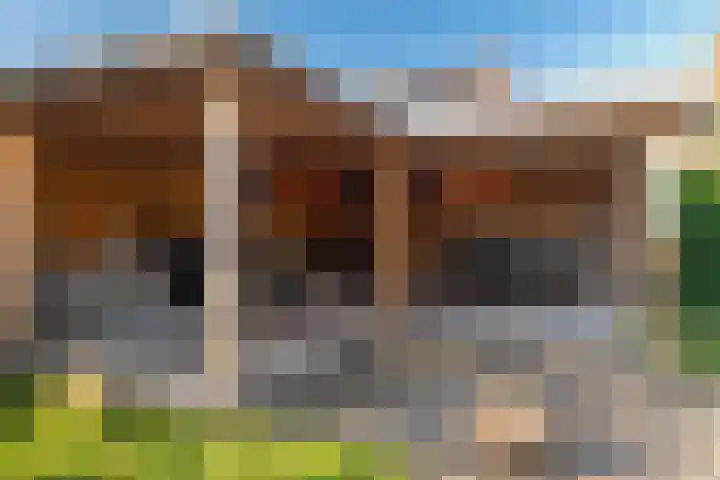 Snip 143 Groningen thumbnail 71
