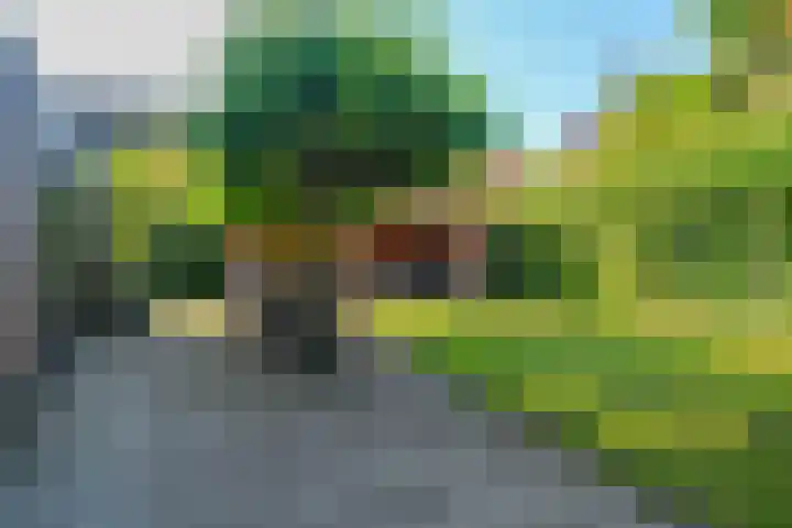 Snip 143 Groningen thumbnail 72
