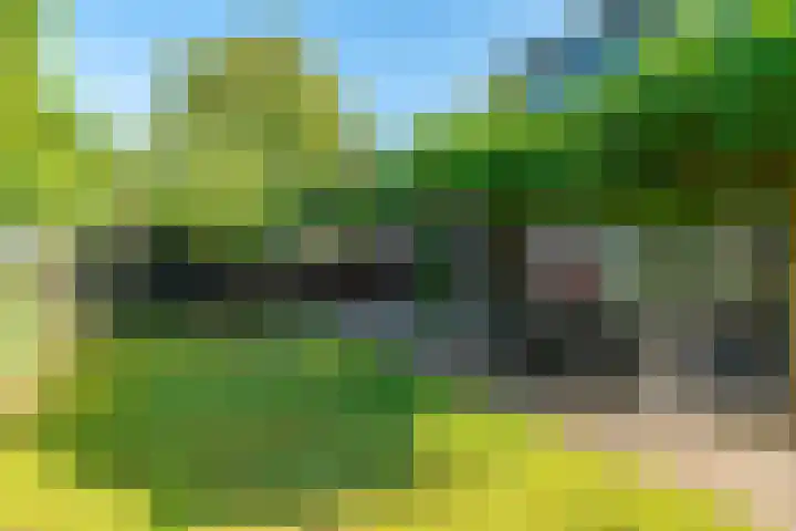 Snip 143 Groningen thumbnail 73