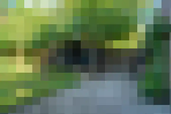 Snip 143 Groningen thumbnail 74