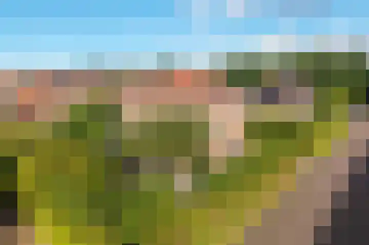Snip 143 Groningen thumbnail 78
