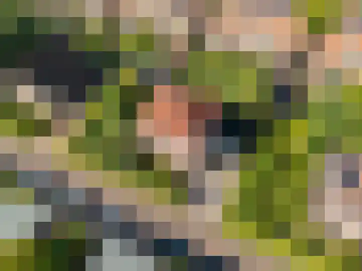 Snip 143 Groningen thumbnail 79