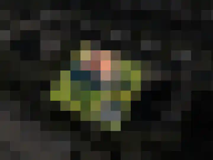 Snip 143 Groningen thumbnail 80