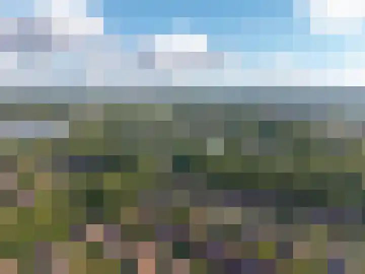 Snip 143 Groningen thumbnail 81