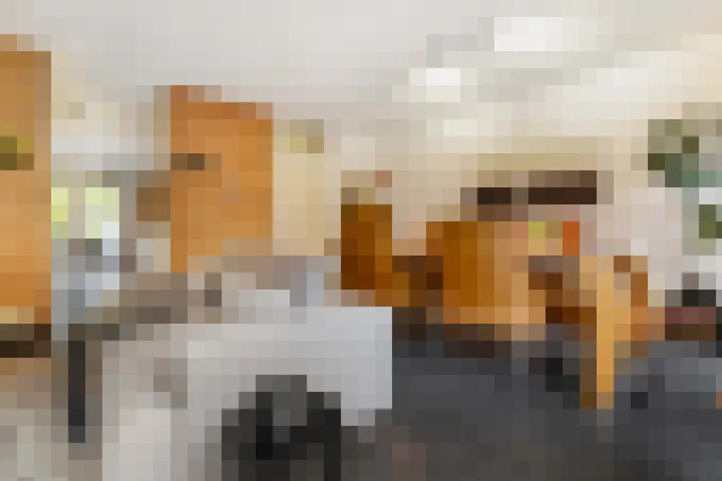 Snip 167 Groningen thumbnail 10