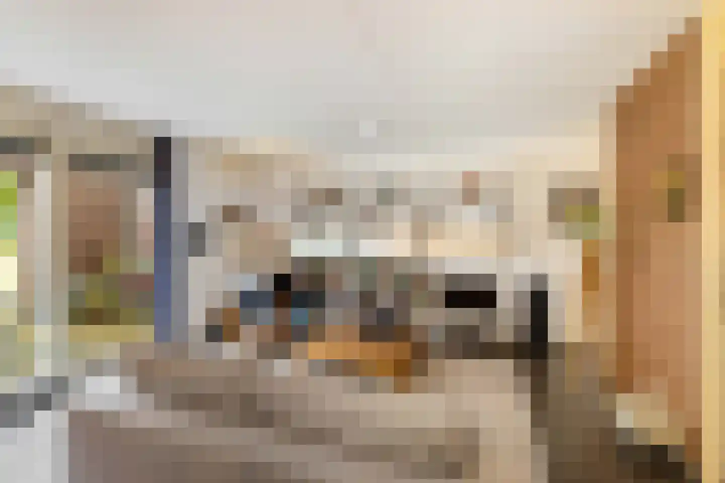 Snip 167 Groningen thumbnail 11