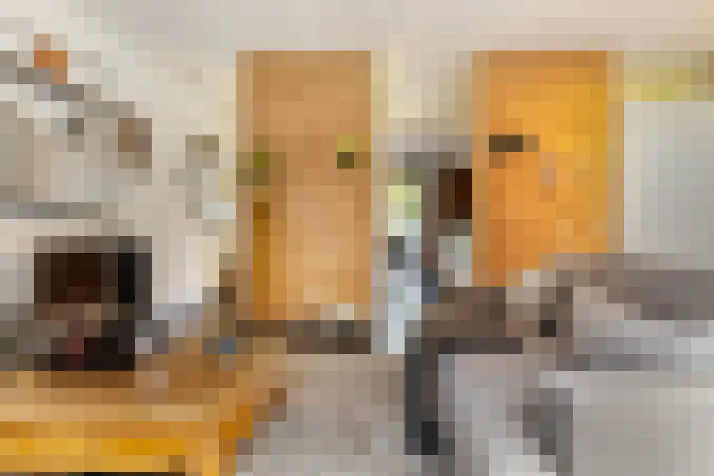 Snip 167 Groningen thumbnail 12