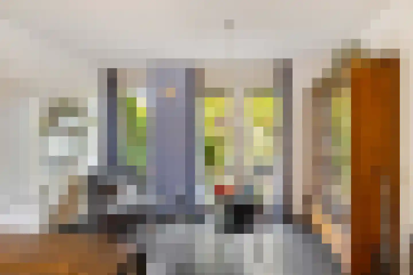 Snip 167 Groningen thumbnail 15
