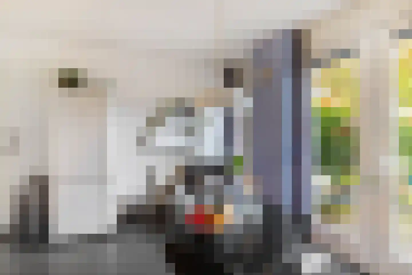 Snip 167 Groningen thumbnail 16