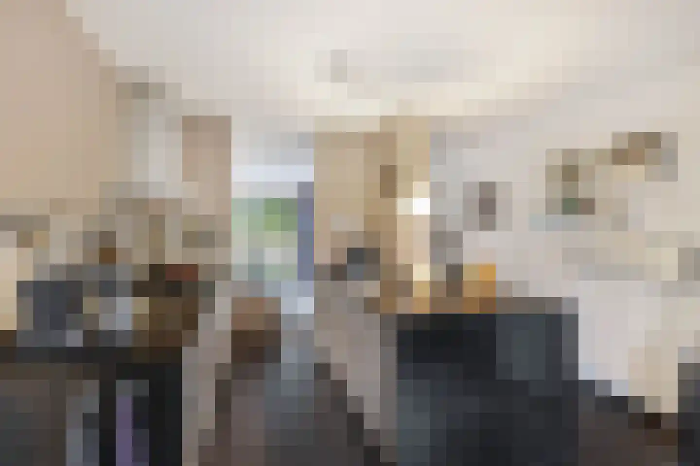 Snip 167 Groningen thumbnail 17