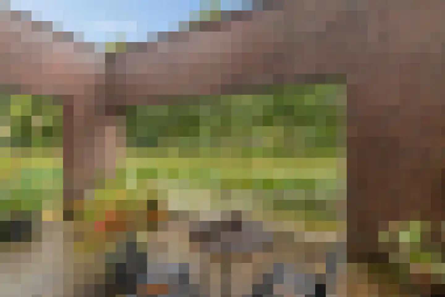 Snip 167 Groningen thumbnail 20