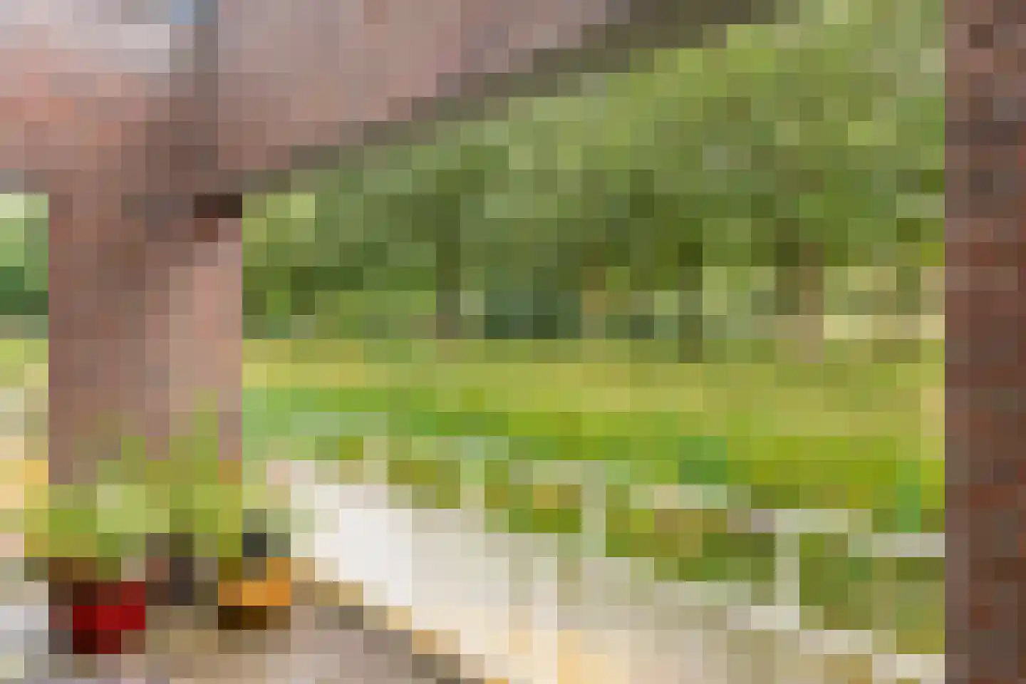 Snip 167 Groningen thumbnail 21