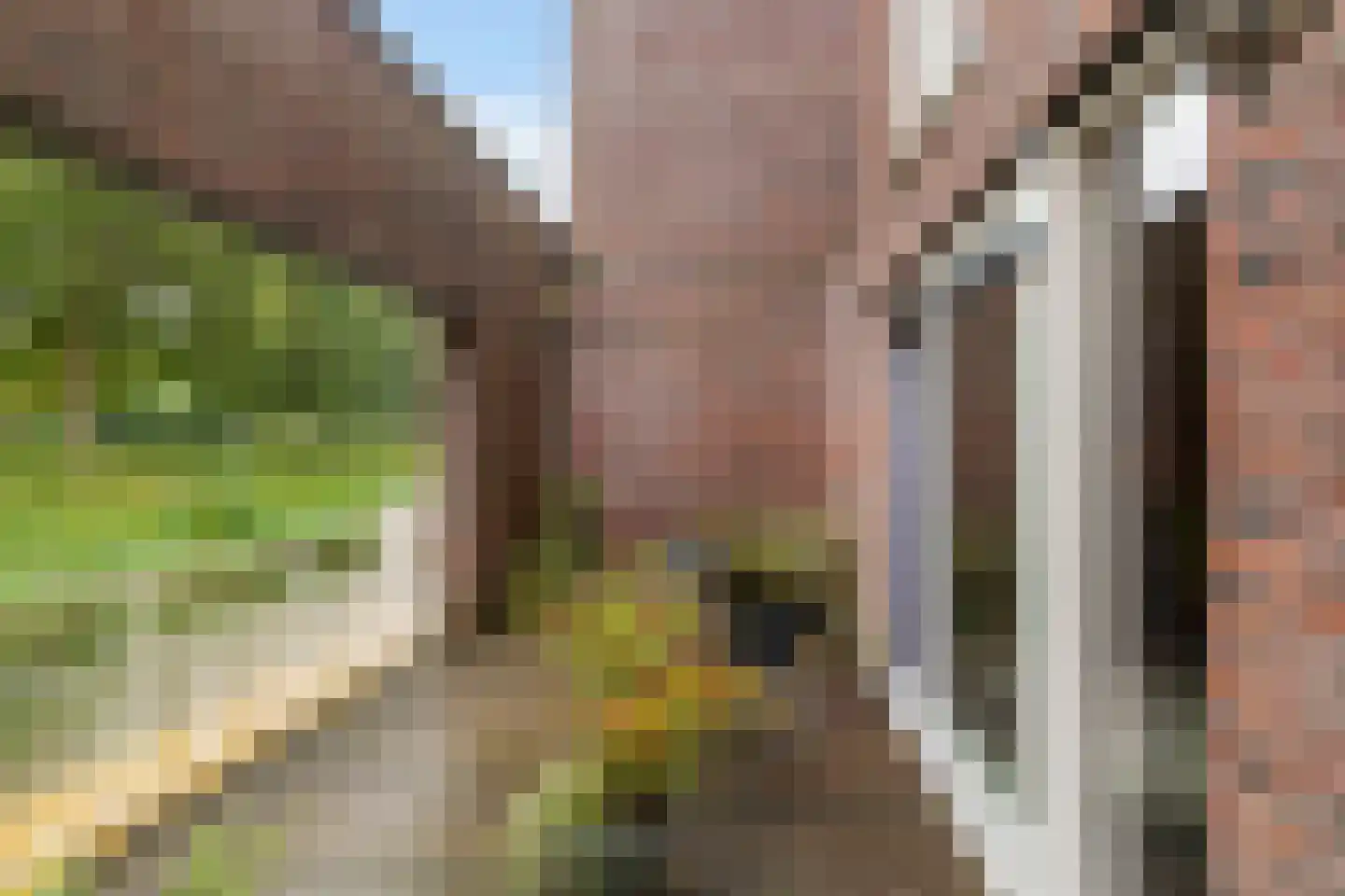 Snip 167 Groningen thumbnail 22