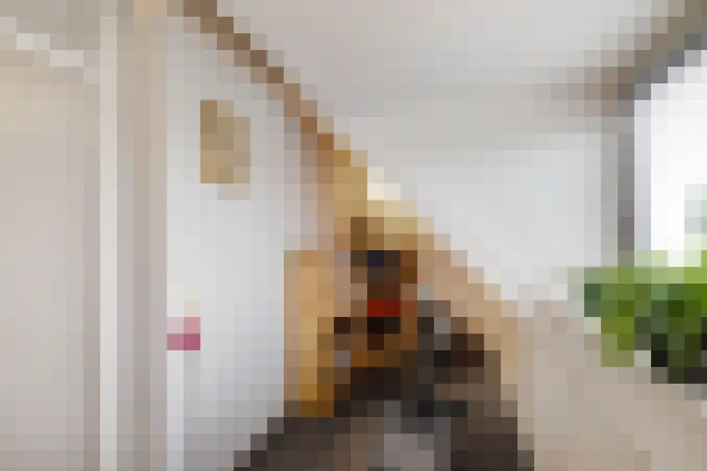 Snip 167 Groningen thumbnail 30