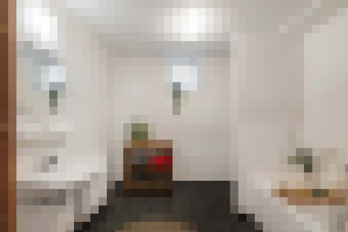 Snip 167 Groningen thumbnail 31
