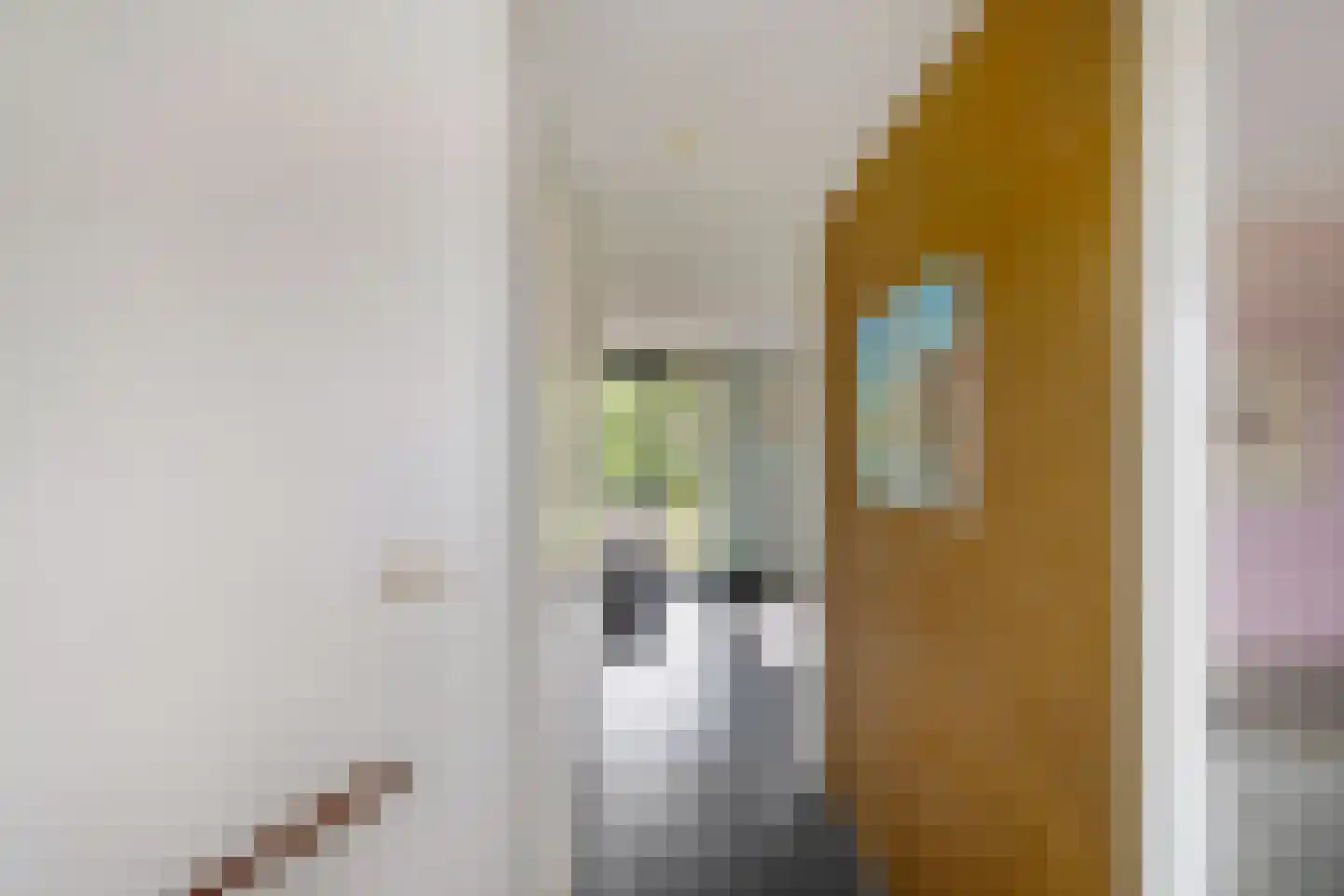 Snip 167 Groningen thumbnail 34