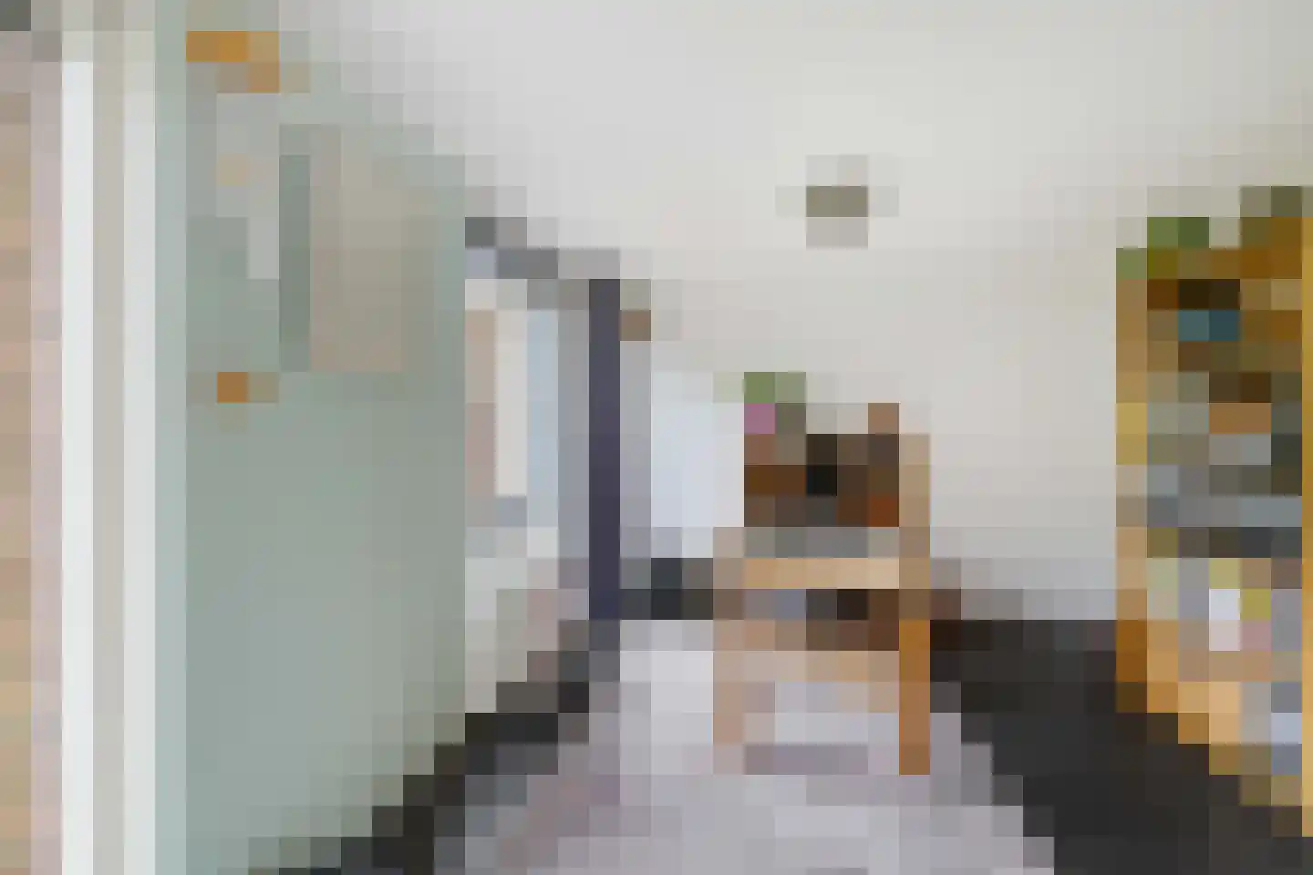 Snip 167 Groningen thumbnail 36
