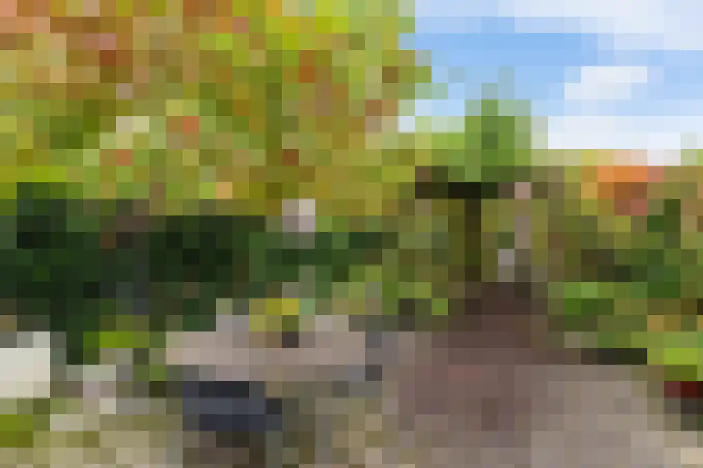 Snip 167 Groningen thumbnail 40