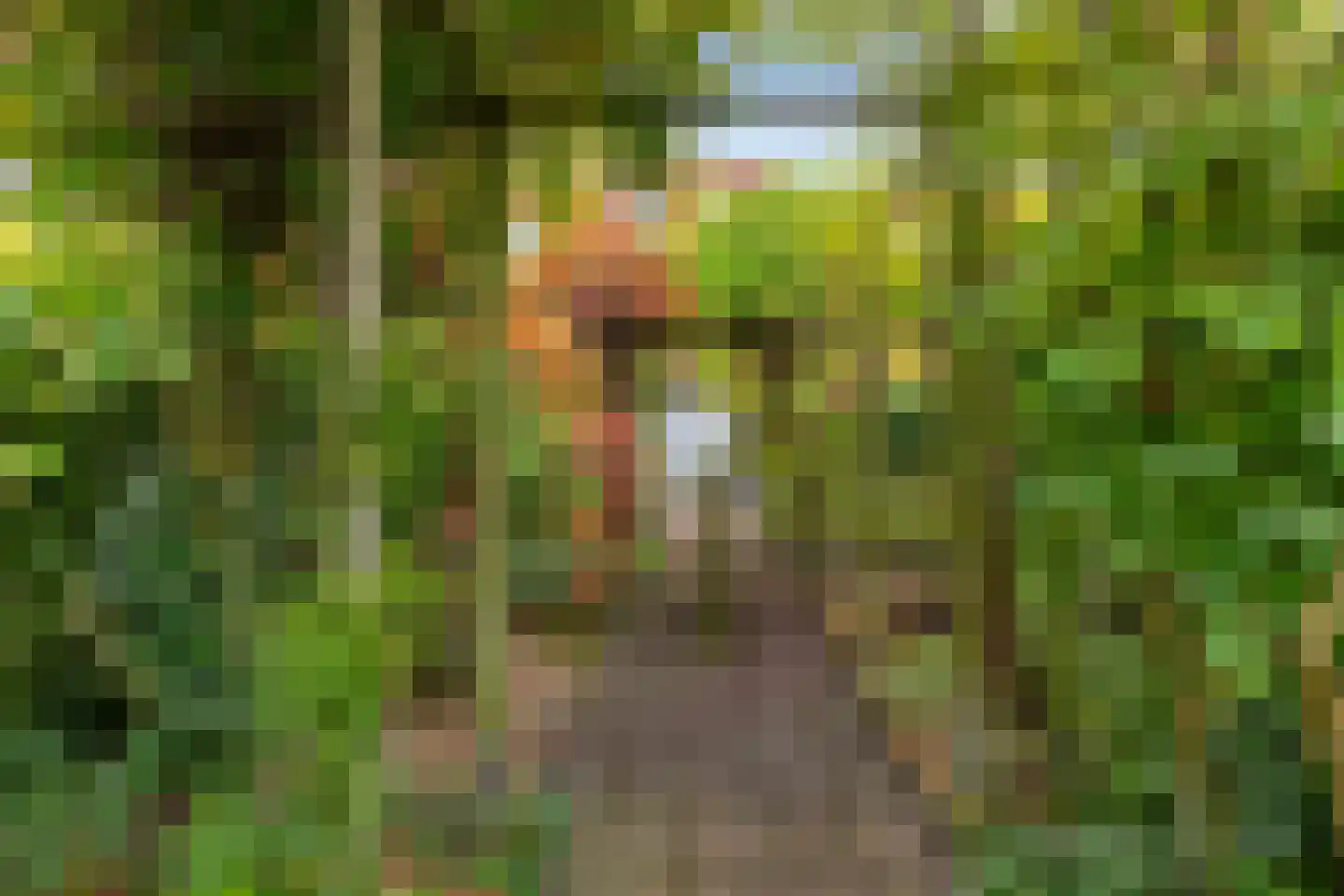 Snip 167 Groningen thumbnail 41